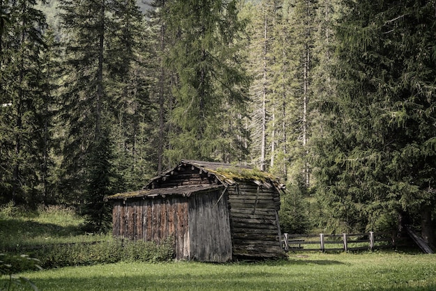 Alte Hütte im Wald Italien