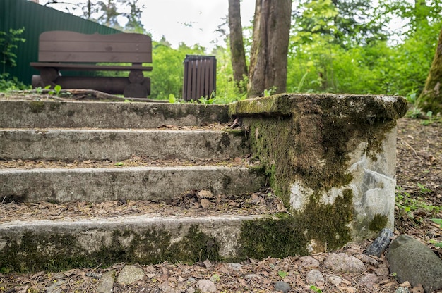 Alte Kopfsteinpflasterstraße überwuchert und mit Moos bewachsen die Treppe im Park im Hintergrund Holzbank