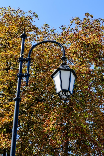 Foto alte laterne in einem stadtpark im herbst