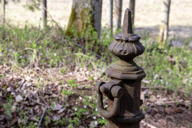 Foto alte metallzaunpfosten mit schmieden auf grashintergrund