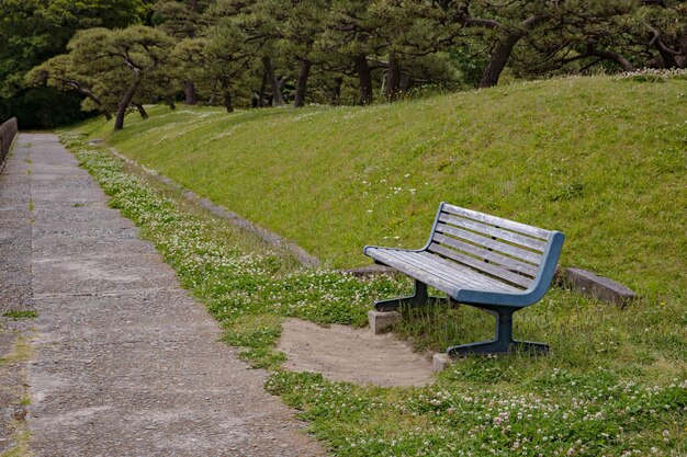 Foto alte parkbank im sommer.