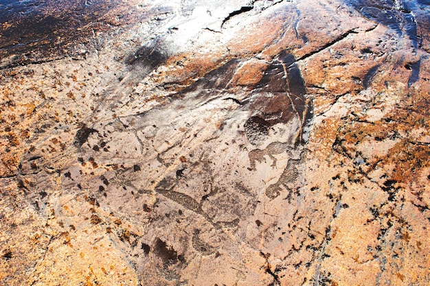 Alte Petroglyphen an den Ufern des Onegasees Geschnitzt auf einer Granitplatte Kap Besov Nos Karelien Russland 15. August 2021