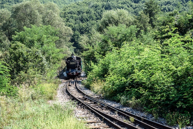 Alte Räder der Lokomotive. Der historische Dampfzug fährt durch den Laubwald.