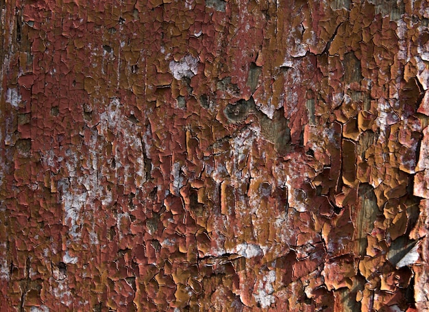 Alte rote Farbe auf einem Holzbrett knackte in der Nähe