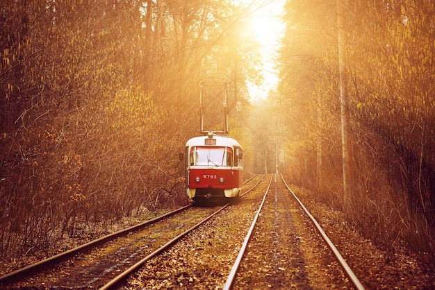 Alte rote Straßenbahn