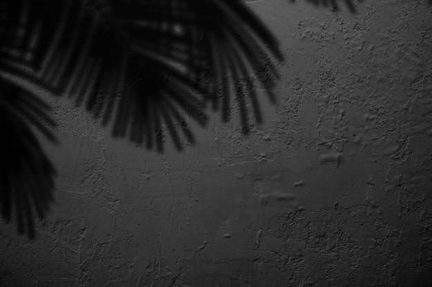 Alte schwarze Hintergrund Grunge-Textur Dunkle Tapete Tafel Tafel Zimmer Wall