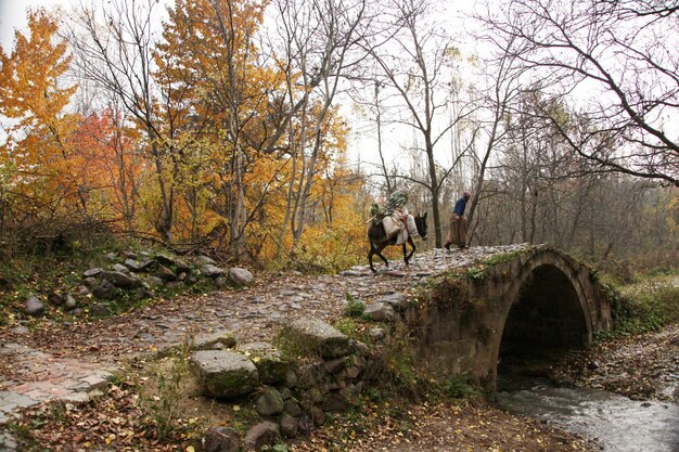 Alte Steinbrücke und anatolische Frau