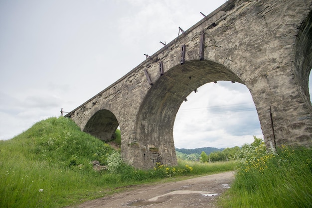 Alte steinerne Eisenbahnbrücke zwischen Tannen