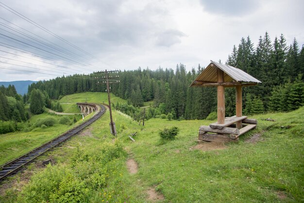 Alte steinerne Eisenbahnbrücke zwischen Tannen