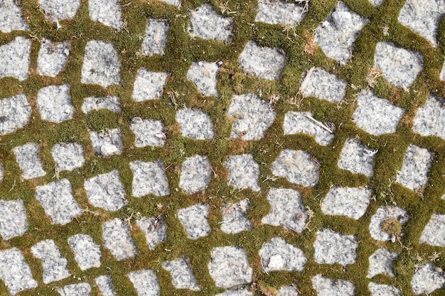 Alte Steinstraße oder Bürgersteig-Nahaufnahme. Granit-Bürgersteig mit Moos