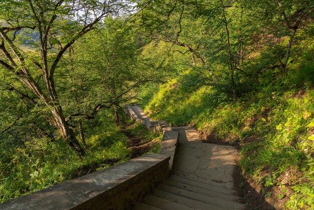 Alte Steintreppen im Park hinunter