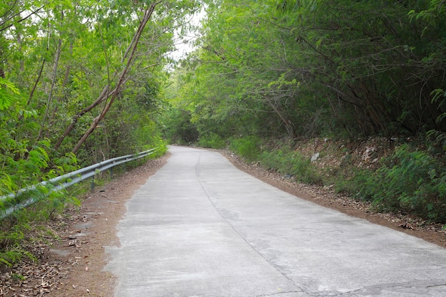 Alte Straße im Wald.