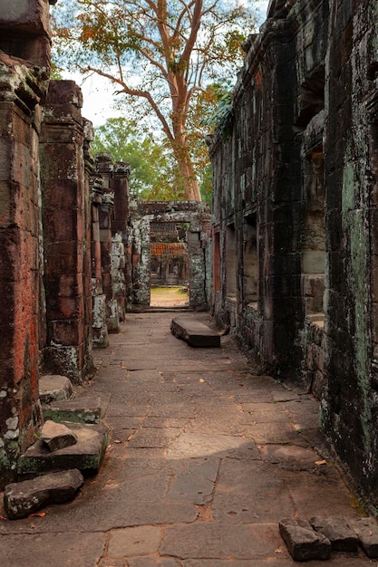 Alte Tempelruine im Tempelkomplex Angkor Wat, Siem Reap, Kambodscha.