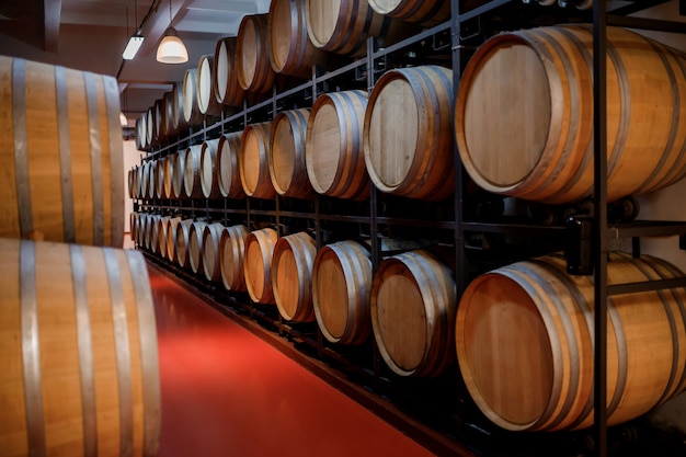 Alte traditionelle Holzfässer mit Wein in einem Gewölbe aufgereiht im kühlen und dunklen Keller in Italien, Porto, Portugal, Frankreich