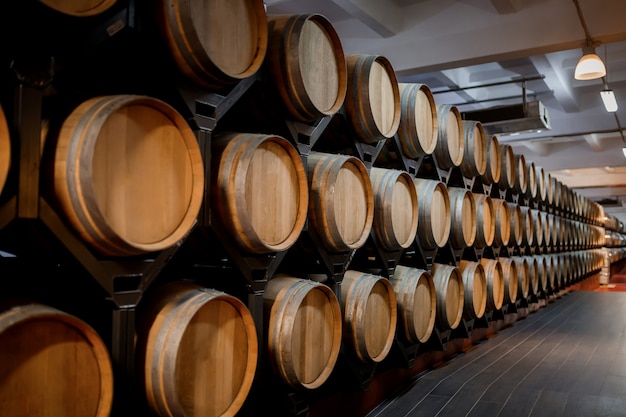 Alte traditionelle Holzfässer mit Wein in einem Gewölbe aufgereiht im kühlen und dunklen Keller in Italien, Porto, Portugal, Frankreich