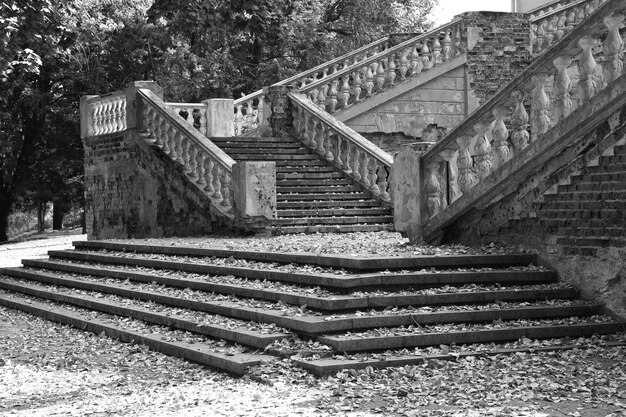 alte Treppe im Sommerpark. in Schwarz und weiß