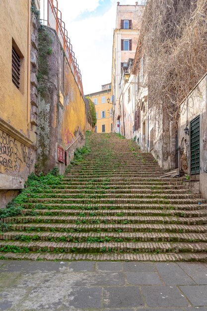 alte Treppe mit Unkraut auf einer Straße in der Via de san Onofrio in Rom