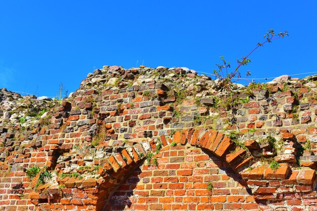 Foto alte, verfallene ziegelsteinmauer polen torun