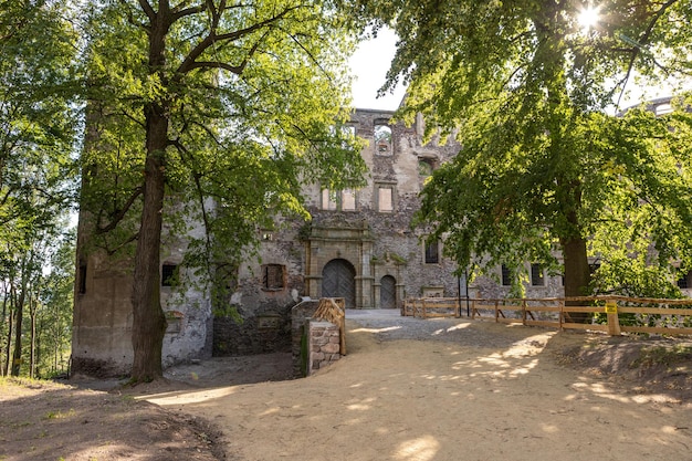 Alte verlassene Burg im Wald