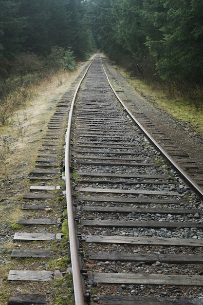 Alte verlassene Eisenbahnstrecke