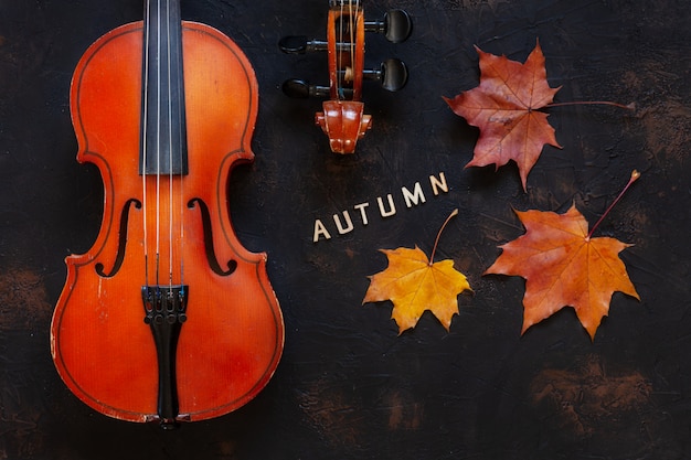 Alte Violine mit gelbem Herbstahornurlaub.