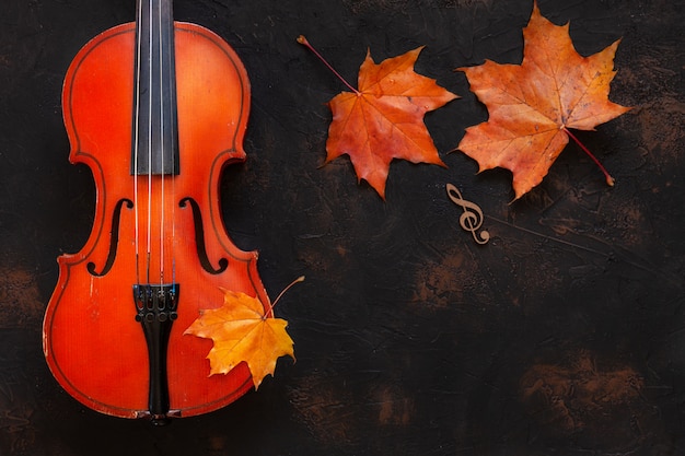 Alte Violine mit gelbem Herbstahornurlaub.