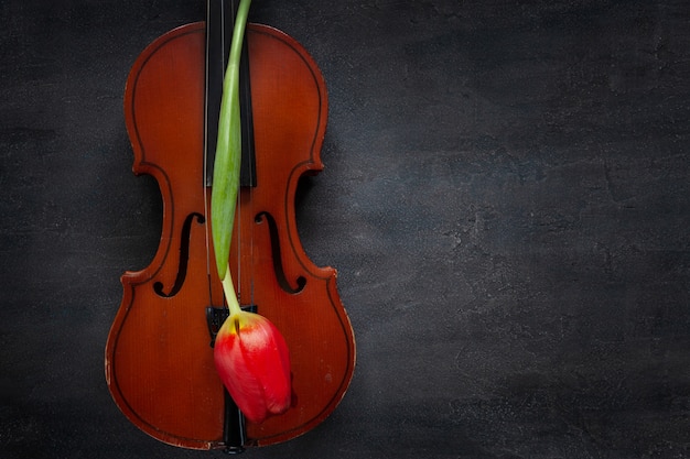 Alte Violine und rote Tulpenblume. Draufsicht, Nahaufnahme auf dunklem konkretem Hintergrund