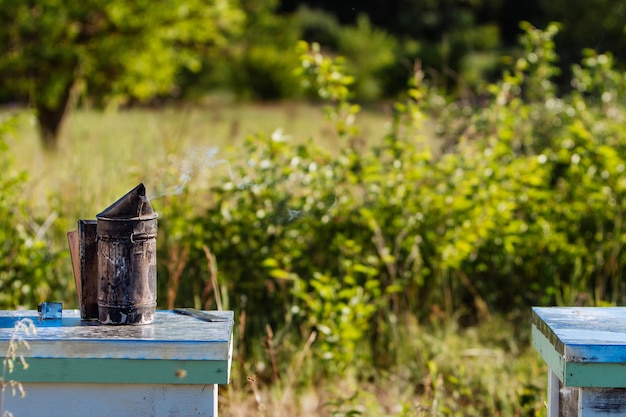 Alter Bienenraucher. Imkerei-Tool. Imker, der Bienenstock inspiziert.