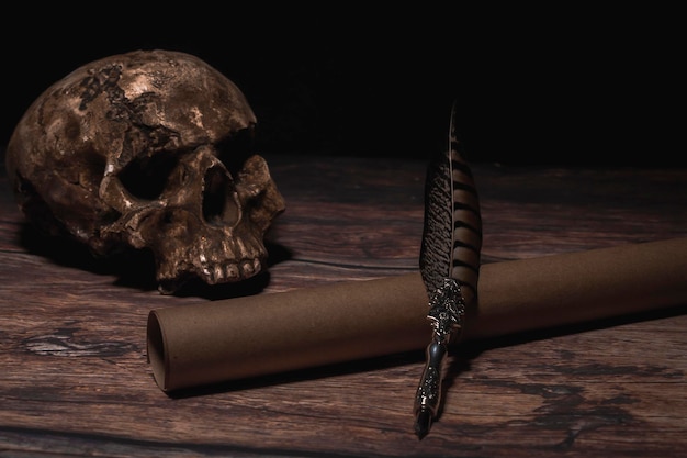 Alter Federkiel mit alter Papierrolle und menschlichem Schädel auf dem dunklen Holztisch