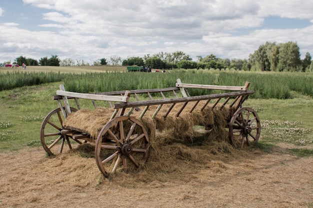 Alter Holzkarren auf einem Gebiet im Sommer