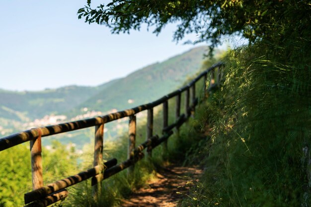 Alter Holzzaun im Bergwald und hohe Bäume, Berge und Hügel im Sommer