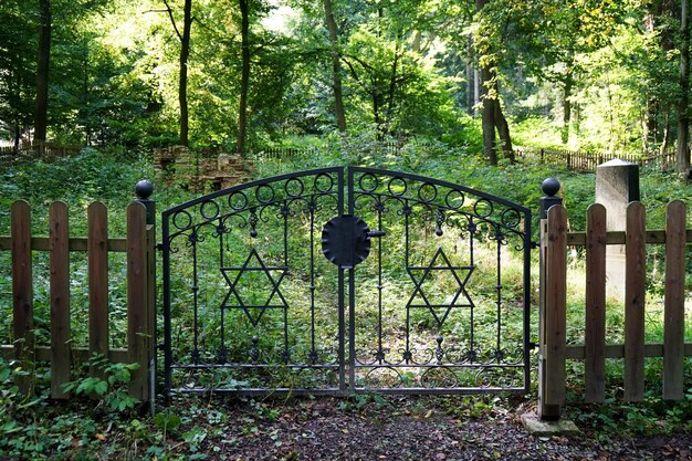 Alter jüdischer Friedhof im Wald