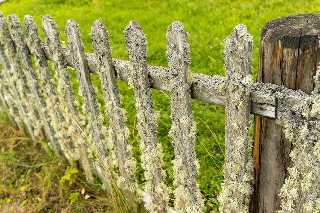 Alter ländlicher Holzzaun aus Lattenzaun, der mit Moos bewachsen ist