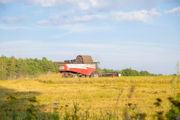 Alter Mähdrescher erntet vom Feld