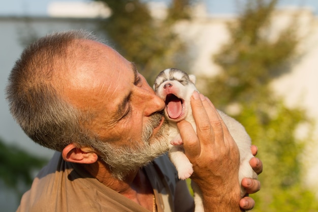 Alter Mann küsst einen neugeborenen Welpen Huskies. Siberian Husky Welpe in den Händen europäischer Männer. Züchter freut sich über neugeborene Welpen.