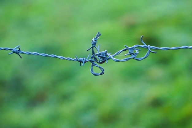 alter metallischer Stacheldrahtzaun