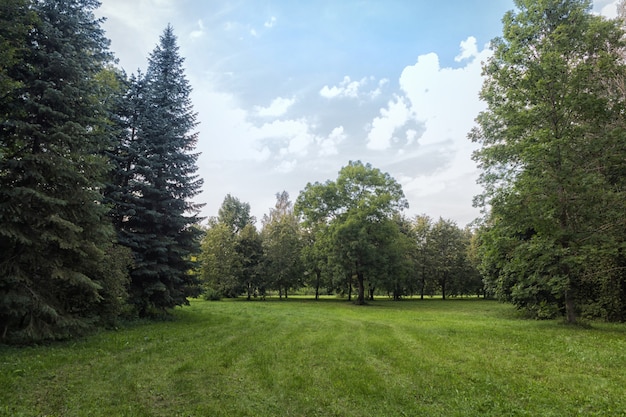 Alter Park mit grünen Rasenflächen und großen Bäumen.