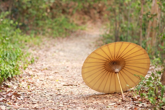 Alter Regenschirm in den Naturgrünbäumen