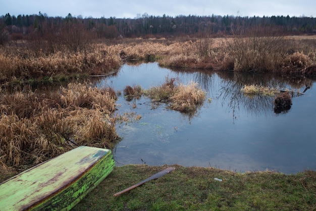 Alter rustikaler Holzsteg an einem ruhigen See mit wilden Gräsern am Ufer und Spiegelungen auf dem Wasser