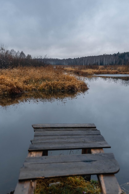 Alter rustikaler Holzsteg an einem ruhigen See mit wilden Gräsern am Ufer und Spiegelungen auf dem Wasser