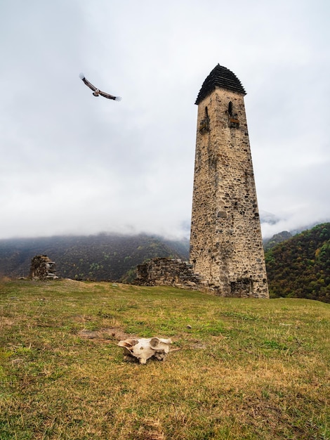 Alter Schlachtturm Erzi in der Jeyrah-Schlucht Beeindruckende Felswand des Kaukasusgebirges im Hintergrund Republik Inguschetien