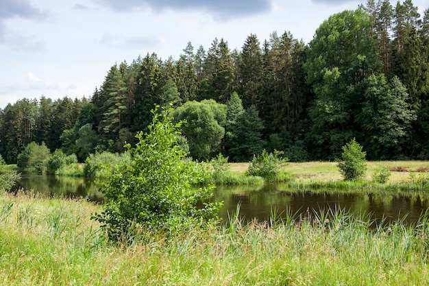 Alter See mit wachsenden Seerosen