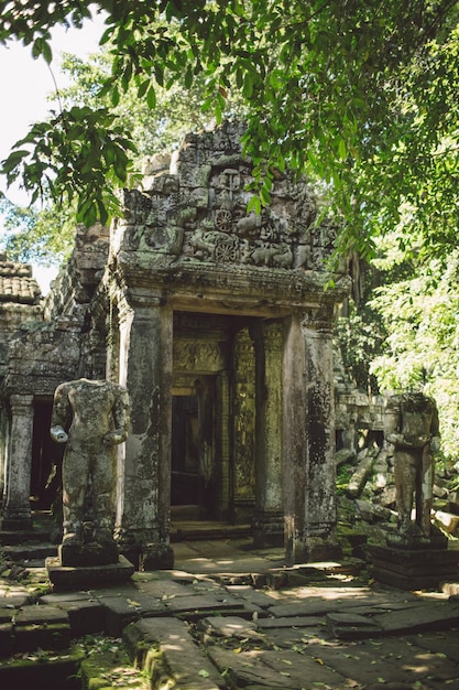 Alter Tempel im Wald