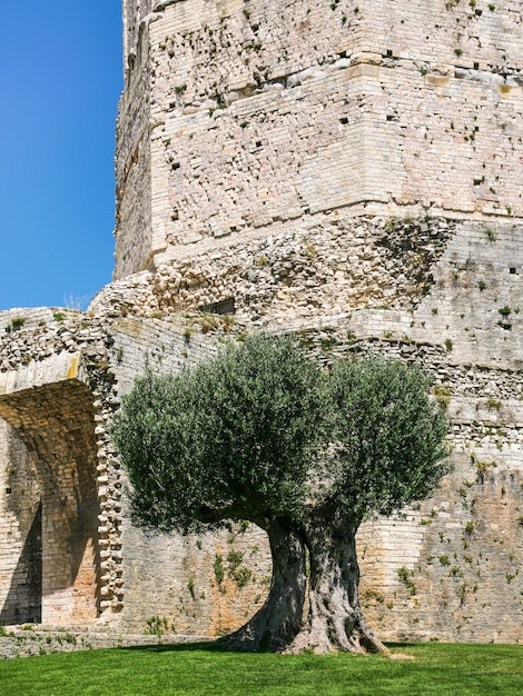 Foto alter tourturm magne in der stadt nimes