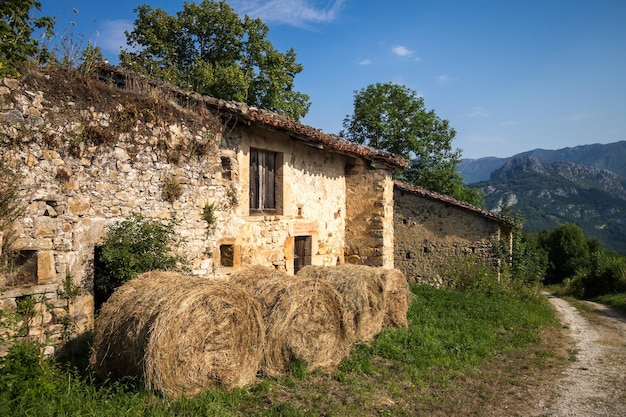 Alter traditioneller Bauernhof Picos de Europa Asturien Spanien