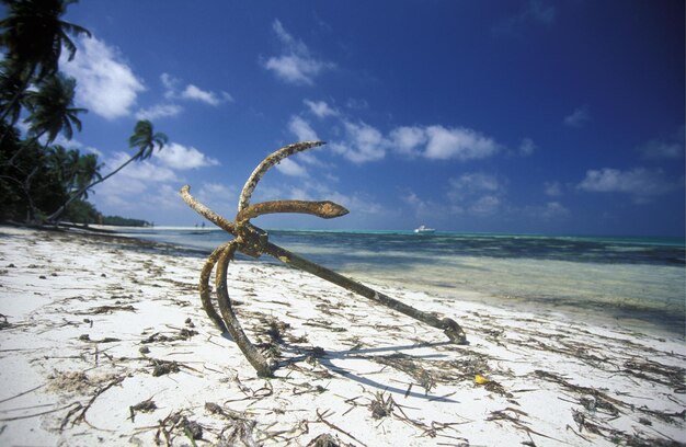 Foto alter verlassener anker am strand vor blauem himmel an einem sonnigen tag