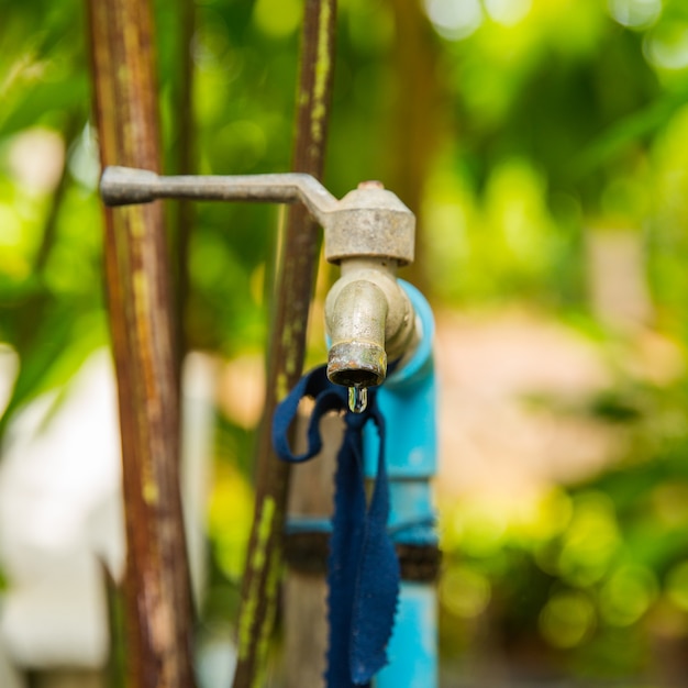 Alter Wasserhahn in Gartennahaufnahme