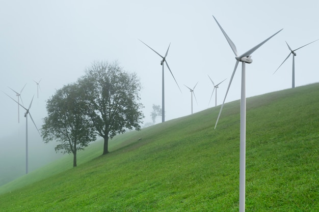 Alternative Energieerzeugung mit Windkraft