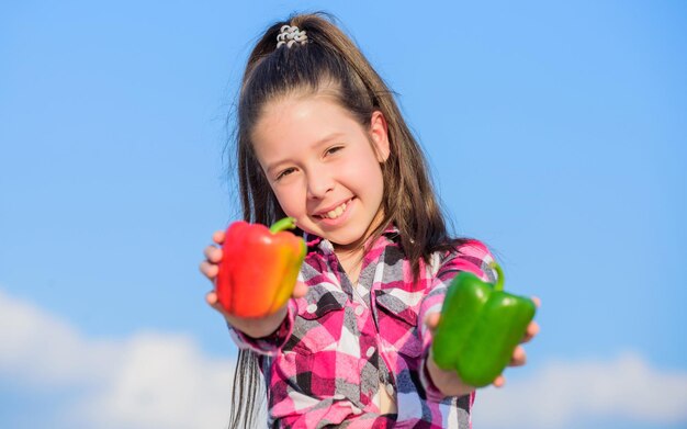 Alternative Entscheidung Konzept Kid Mädchen halten rote und grüne Paprika Himmelshintergrund Kid halten reife Paprikaernte Kind präsentiert Arten von Pfeffer Herbsternte Gemüse aus eigenem Anbau Wählen Sie welche