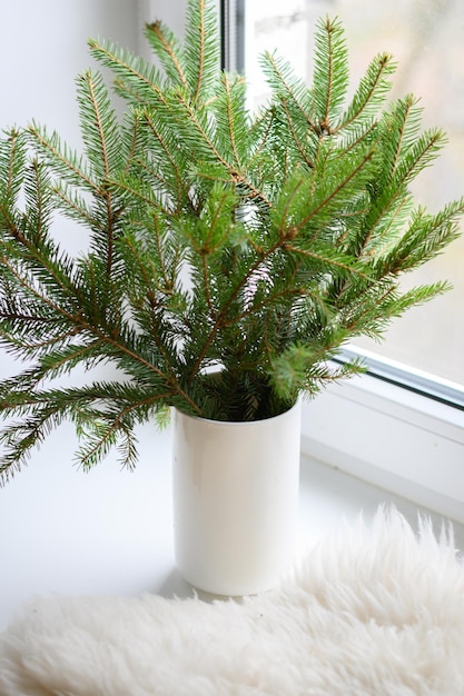 Alternativer Weihnachtsbaum in Vase mit natürlichen Tannenzweigen